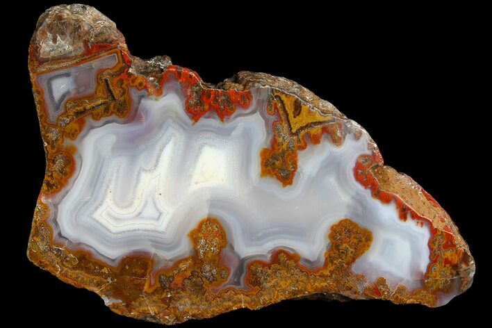 Colorful, Polished Agate Slab - Kerrouchen, Morocco #181282